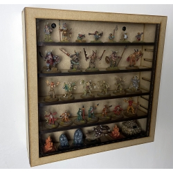 Display Case